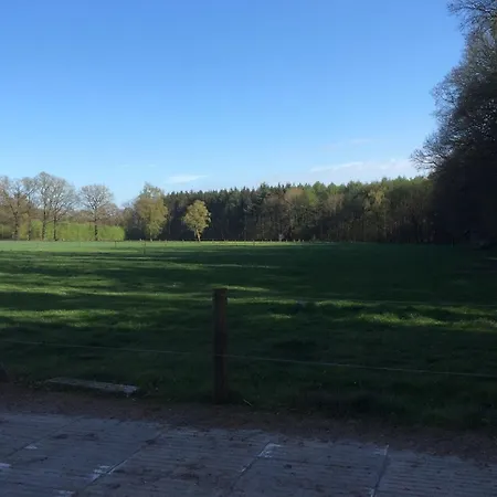 Ferienwohnung am Mühlendamm Lastrup Exterior foto